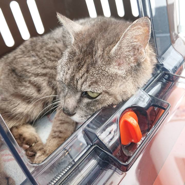 Dda6544c 1525 448d aedf aaef13ca34b6 1594432319129