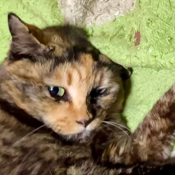 Dda65a78 f908 4f02 8554 703e37e42436 1735761578770