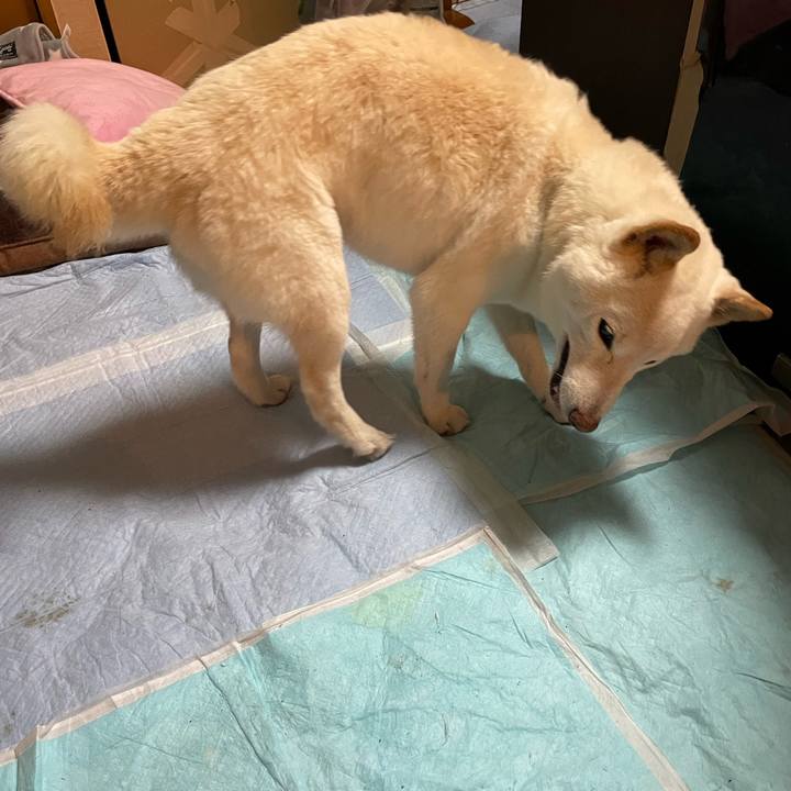 Dda67b9a b430 482b bd8d 47c3d8122f36 1647614909650