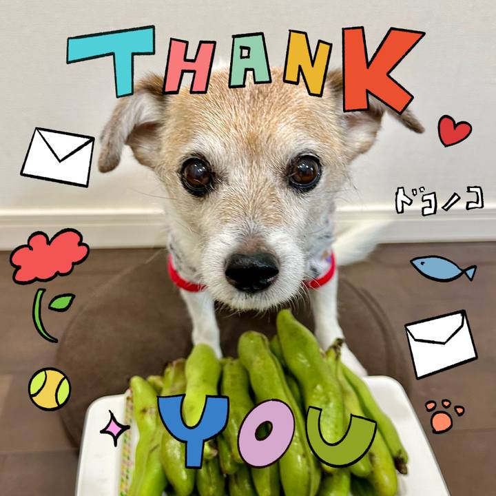 Dda6ce2a c2f8 45c5 b5e4 08d8bb1afdd9 1715489406353