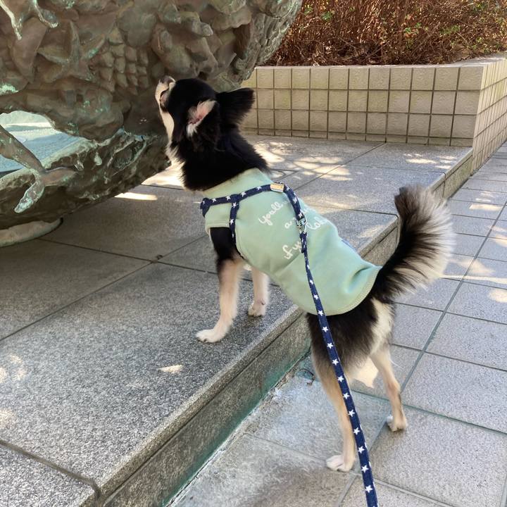 Dda6de83 9634 493f b81c a1847157d2b8 1645937407873