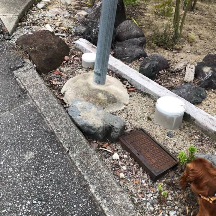 Dda6ec86 7f8d 4e80 a9f1 aa433371db2c 1624668216174