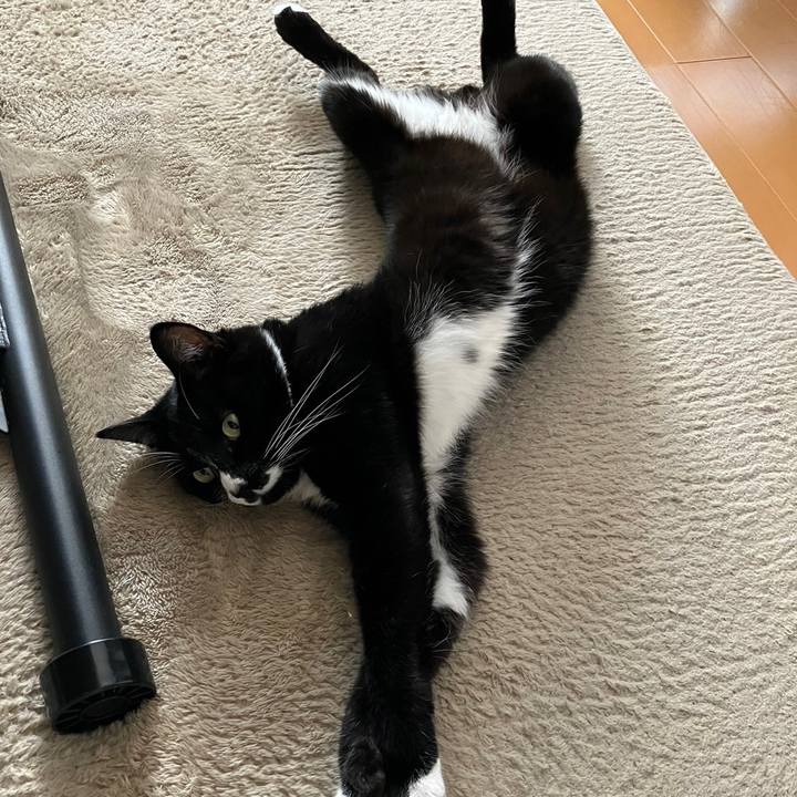 Dda720e4 3718 4878 ad17 156e14a7bb59 1695957625877