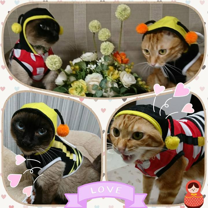 Dda74058 a568 472f a2b2 19d8a2f79ca7 1518609276592