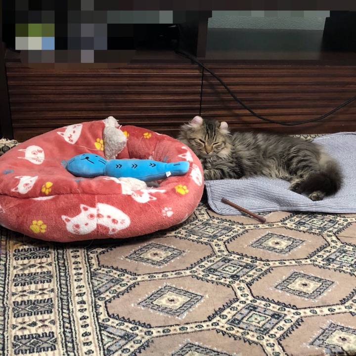 Dda743b8 50ca 4c3a a014 f3af5ec19ba8 1528443473001