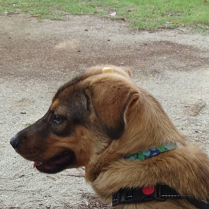 Dda74a67 6182 4221 bba4 bae01c1299b7 1687044134874