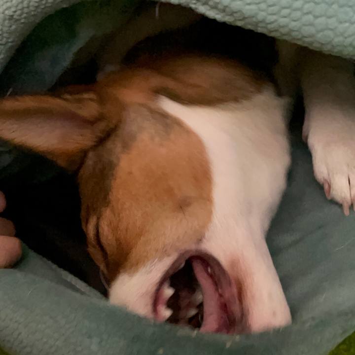 Dda79c22 c640 4594 b15d 924eb7f5401d 1680082564417