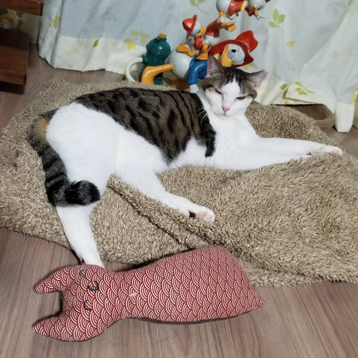 Dda79ed0 d33b 4752 b1c1 4effe4862491 1607463635066