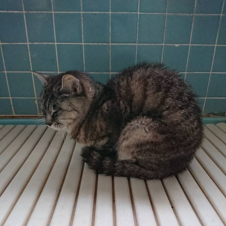 Dda7cd2d ba16 4275 8e32 39ae5dc1e1b1 1569534302206