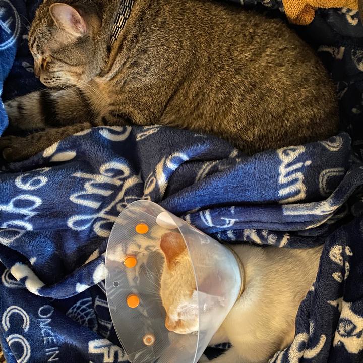 Dda7ee67 5dfd 4325 8b15 1cee0be9a716 1576986122772