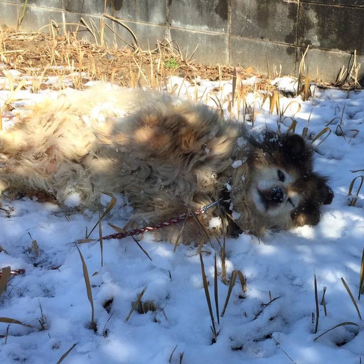 Dda7f51b 405d 48ef 9b7f e28ddcf2c2fc 1561947548710