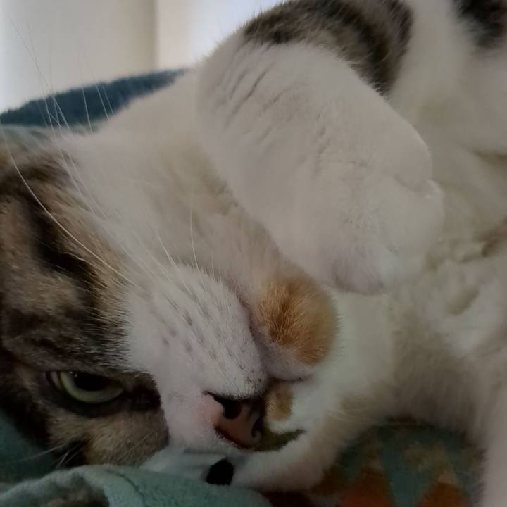 Dda81569 70ba 4600 a870 b7f2356b7876 1687994080332