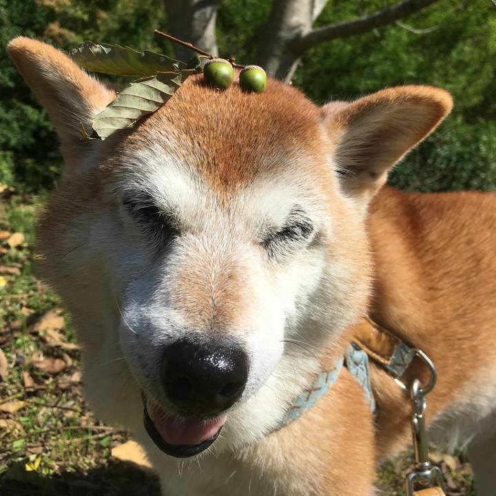 Dda843b9 14df 4f54 9201 1a035518db54 1537332639124