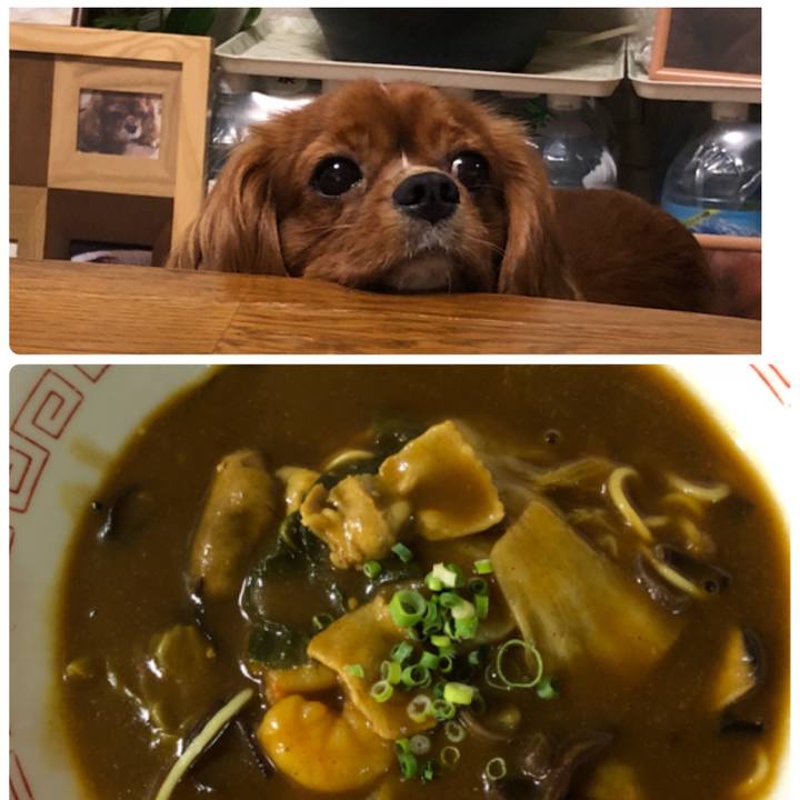 Dda868a5 33d6 4d81 8258 50d8b773f4e8 1535797224827