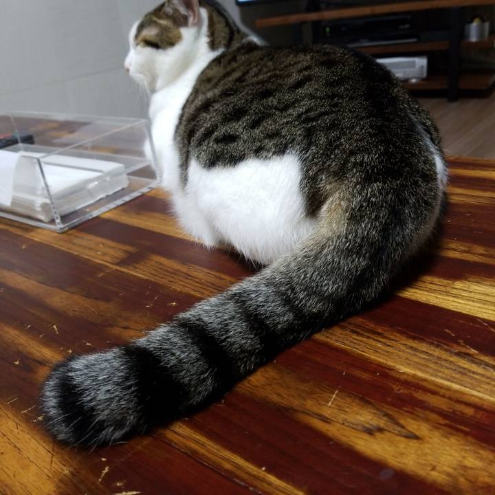 Dda8892b a6cb 4f1e 9703 a2945aeef84b 1567421776823