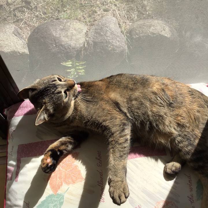 Dda8c620 1b0f 4964 ae7b cd0234f4678d 1585096322377