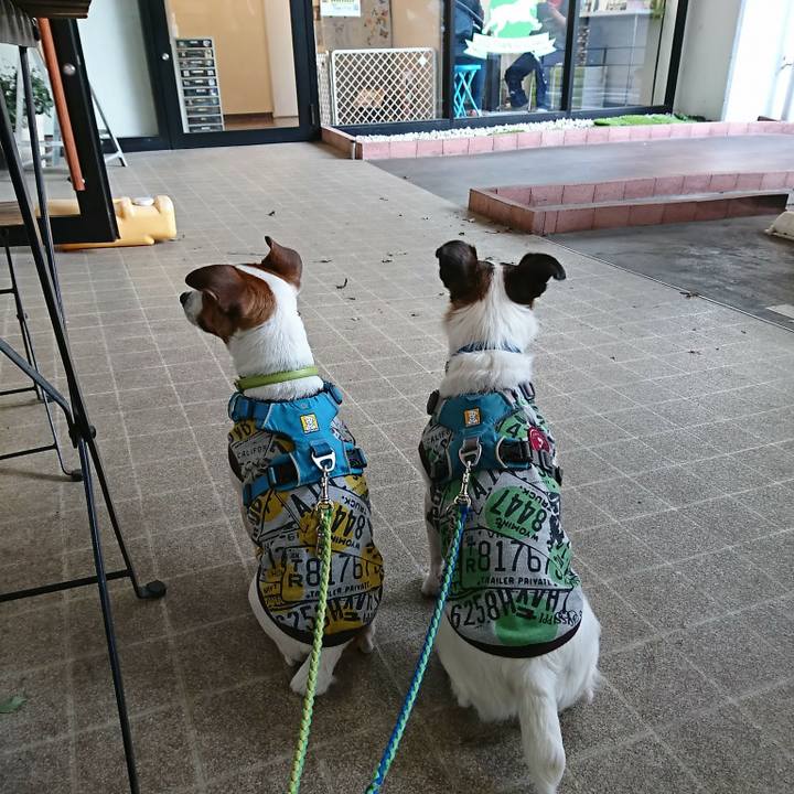 Dda8d40d 44e4 4f6e 8b4f fd3a6e5f15be 1587801805611