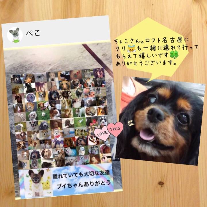 Dda8e2af a90b 4d45 a6aa 191b1892073e 1527512844235