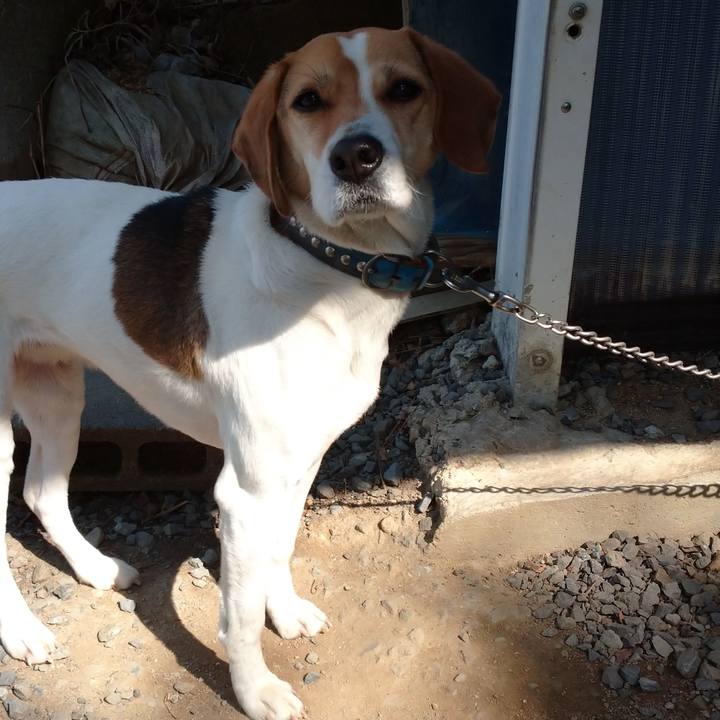 Dda92740 68c4 46aa a889 6d3609105fef 1613796746401