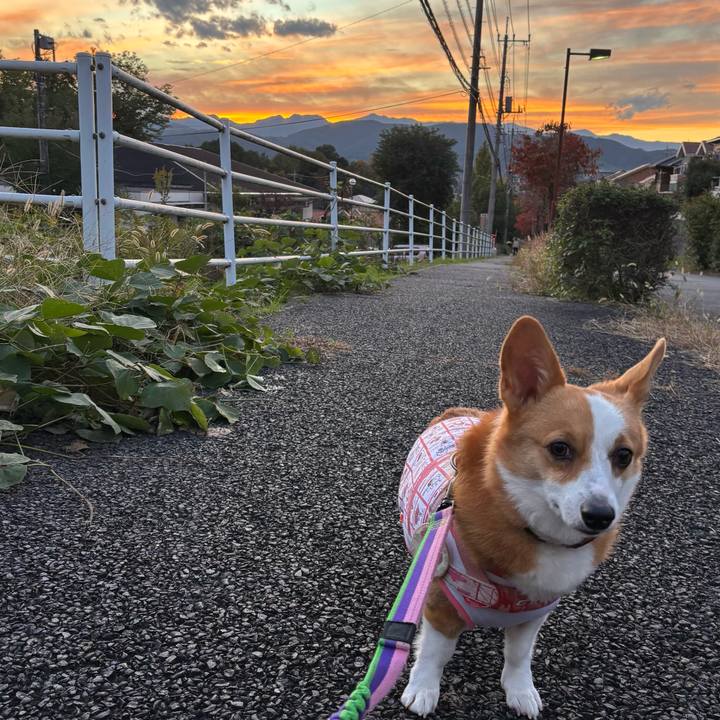 Dda930e2 a79a 4e9d 80ff 9ebe5e30a5ee 1762074032736