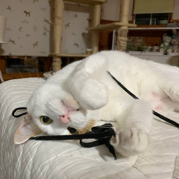 Dda93211 d6e2 4357 a77c 51bcaa42019a 1657889825962