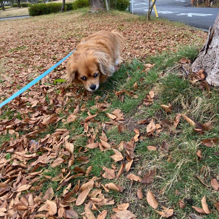 Dda98b0d 563c 432f a75e 991bdb85fc2a 1670718728487