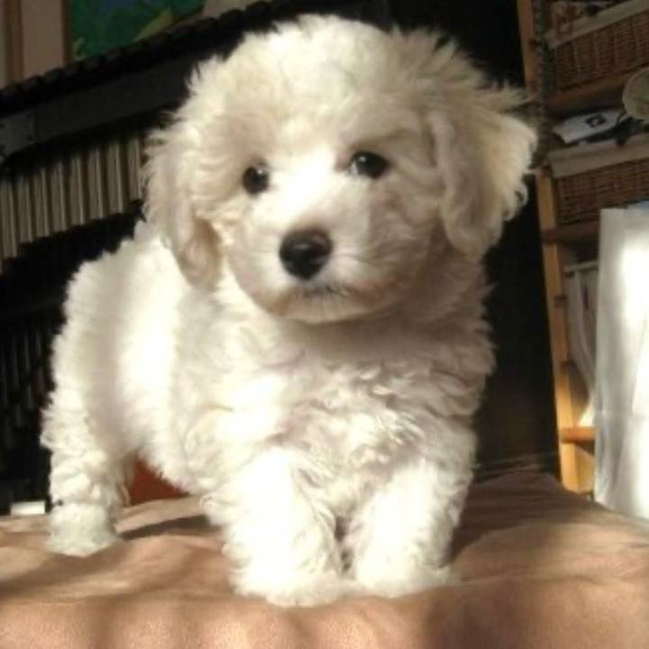 Dda98c4f 434e 4920 b1a3 c7b81f8eee09 1734697652641