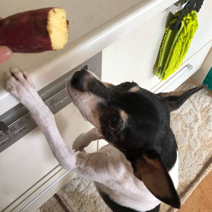 Dda9a306 5e4d 4394 86b8 705a2ae8b1f6 1535850072006