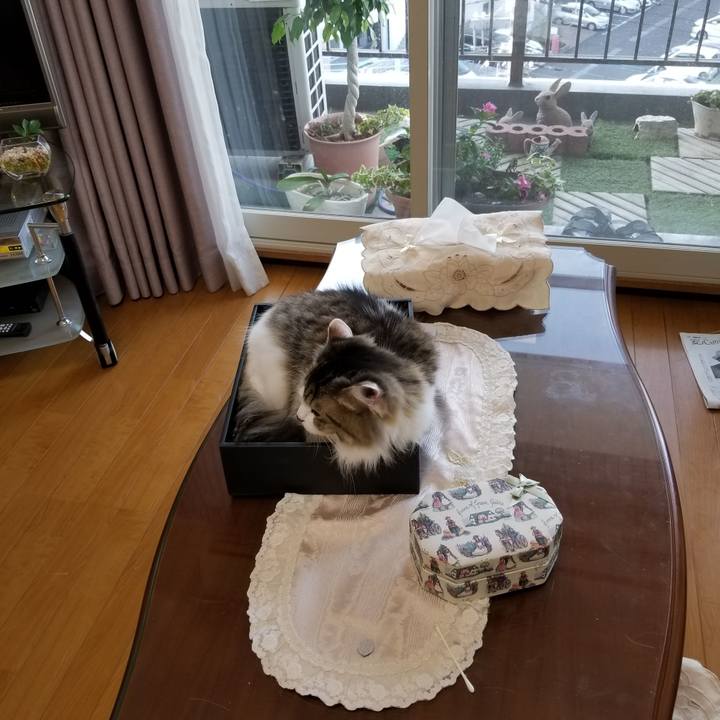 Dda9f96c 1291 4a19 990c 878cda5de6a3 1532644979186