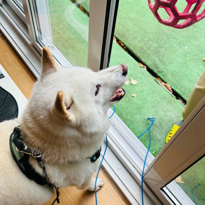 Ddaa5e85 70e9 4ac8 962b c70e043520ee 1698876394974