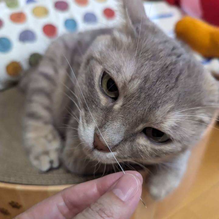 Ddaa69f1 6163 4e82 b92d ec61ecbfef2a 1699242783663