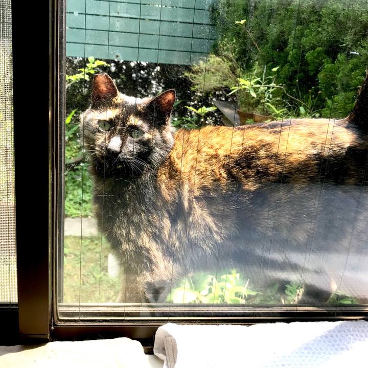 Ddaa6a68 61fe 4f82 b6e7 b19e436e5645 1528001213873