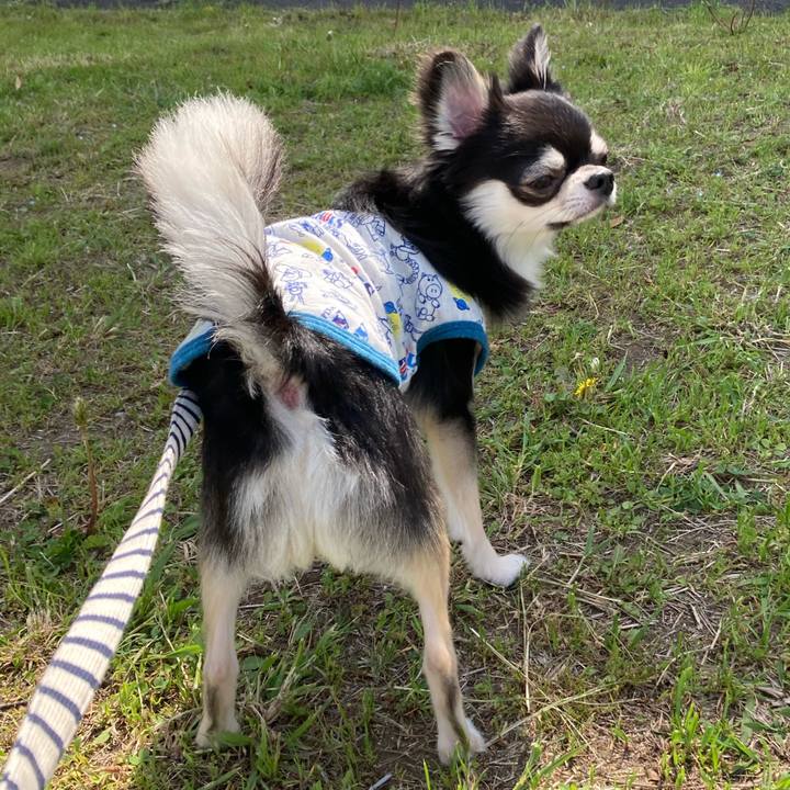 Ddaa7aac 8bc5 461a 8d36 2035945f0d18 1619323614555