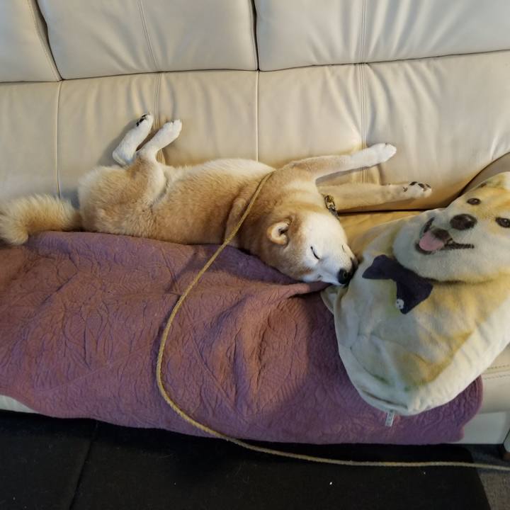 Ddaa86c0 22e4 4b5f 9d15 88f4d8fc774a 1698879408867