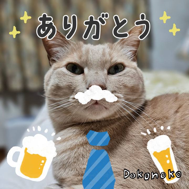 Ddaa86dc bb55 4125 be3f 7d773a06f1f3 1717558057736