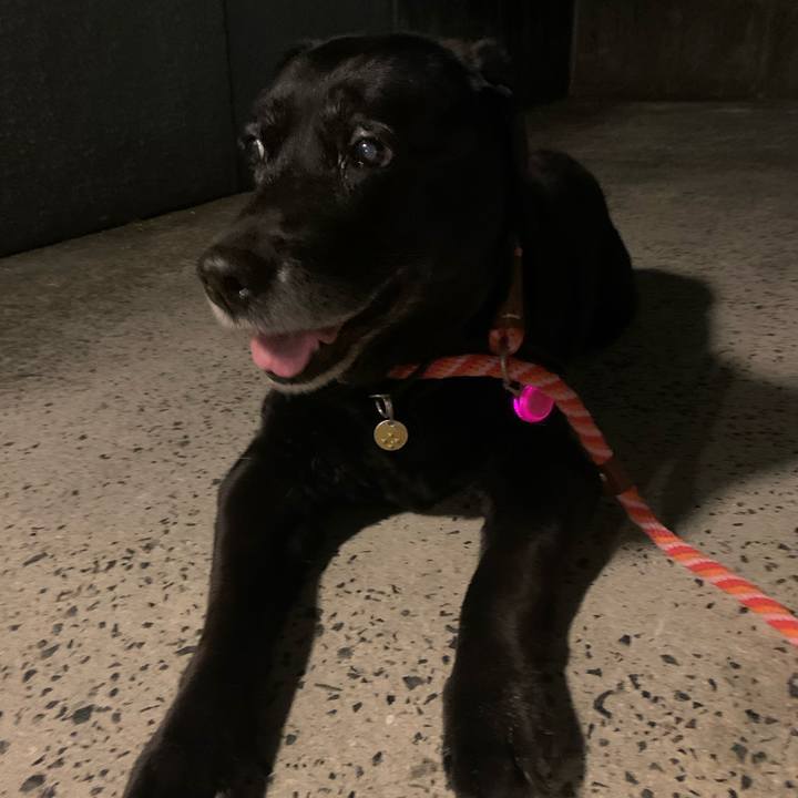 Ddaa881a c94f 4032 afb1 e56fa3381fbb 1605606116887