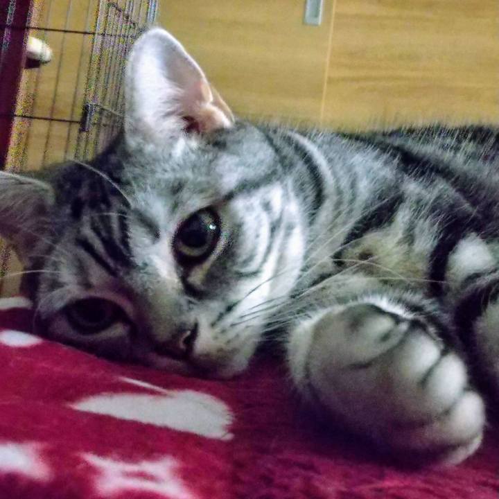 Ddaa904e 9578 44b8 afd0 c6a6c37224c5 1708468274158