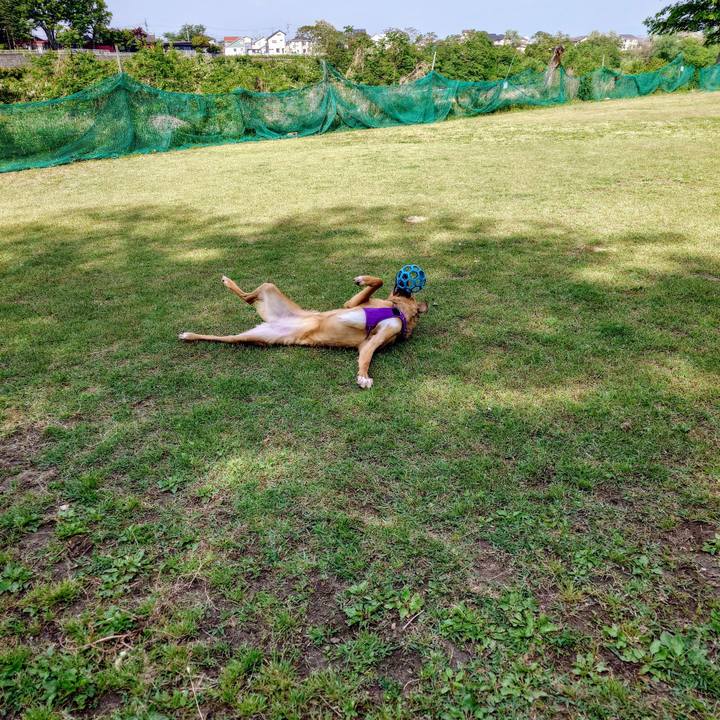 Ddaaafaf 057c 4340 81d7 fe21e5bb5df9 1746331145347