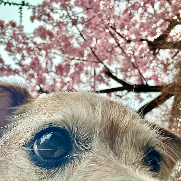 Ddaac7a5 b433 45af bc74 9fe3c5045a01 1709593809307