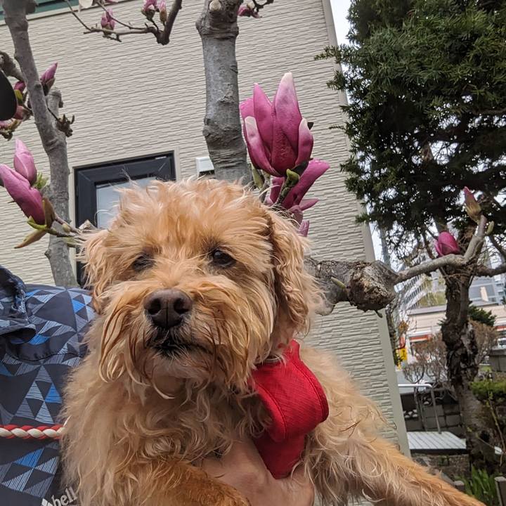 Ddab0e87 4b87 4be4 b731 936030e10e02 1713483336689