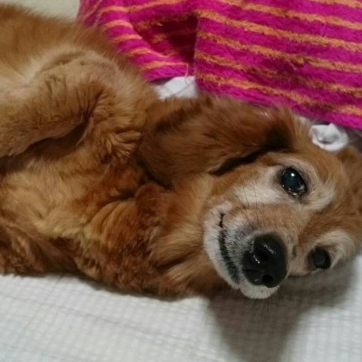 Ddab294d 6116 4b2c 9d1b 7e769b3b0213 1758817486064