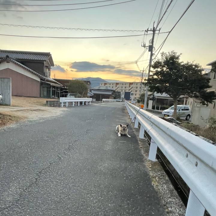 Ddab4f92 3028 4601 ab7e 28e9c1a0a4a2 1642507476010