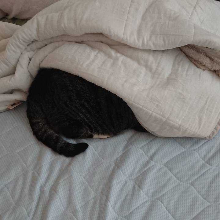 Ddab5538 37fb 4ad8 981e c9ea43fb6980 1530533010071