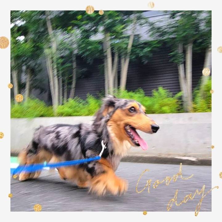 Ddab8054 2af6 4471 b856 1e52d8cfdb4b 1756977694839