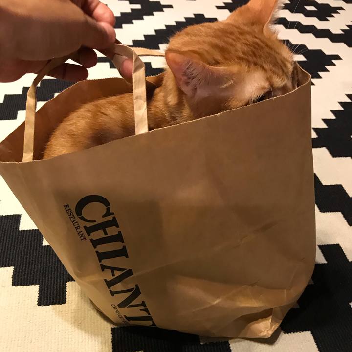 Ddab82d3 31ac 4a21 9078 7e13d33c5f49 1538391138798