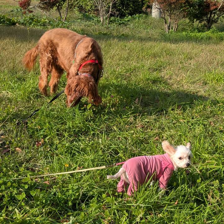 Ddac128e bf6e 4a48 859a 302ddbec70c4 1761730410048