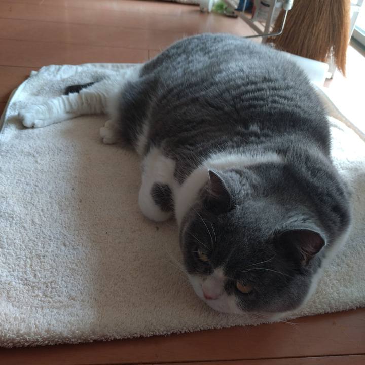 Ddac63fa c6ff 4a03 a884 a6a978e4c162 1771039915219