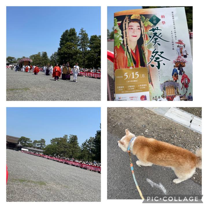 Ddac79a8 e6f7 4e9c 9600 950195d4ca44 1684229395581