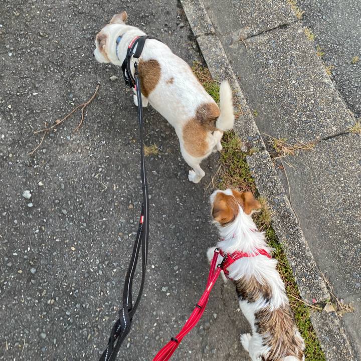 Ddac9bcc a1e6 4492 b137 92e956876ed7 1632778314392