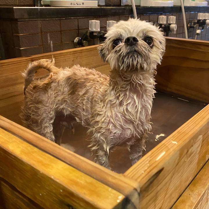 Ddac9fdb 0d4c 433a 94e8 869edbfed96c 1574406421240